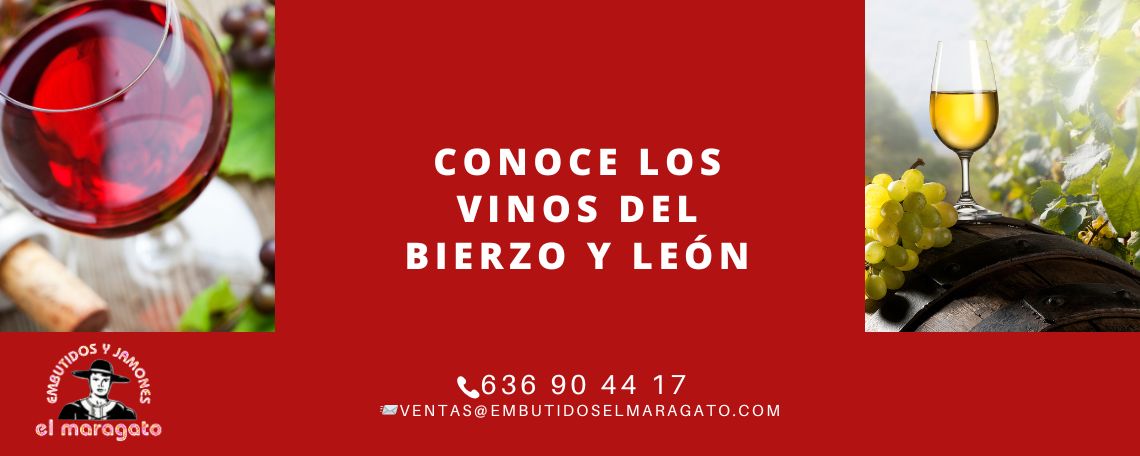 Vinos del Bierzo y León